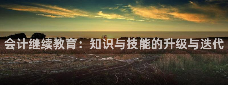 新宝堂新会陈皮5年