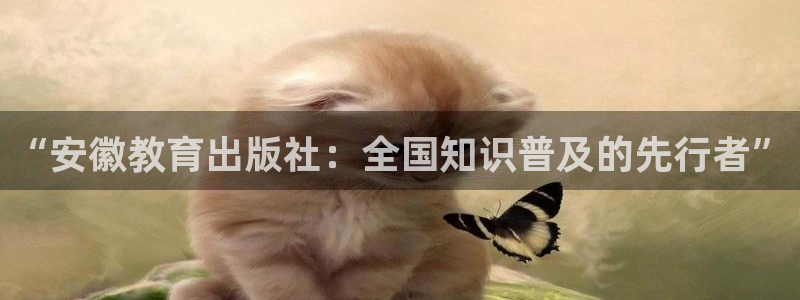 新宝5是什么样子的