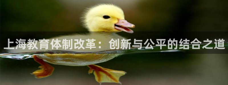 新宝股东王听2 5 5