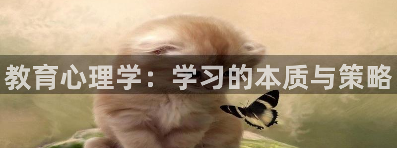 新宝5下载到桌面