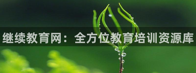 新宝堂新会陈皮5年