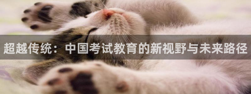 新宝5彩票是正规平台吗