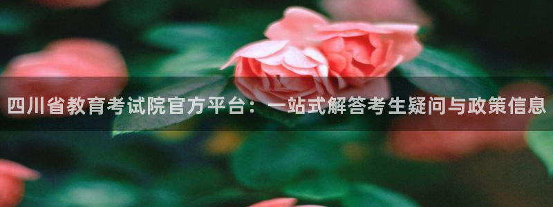新宝5官网app