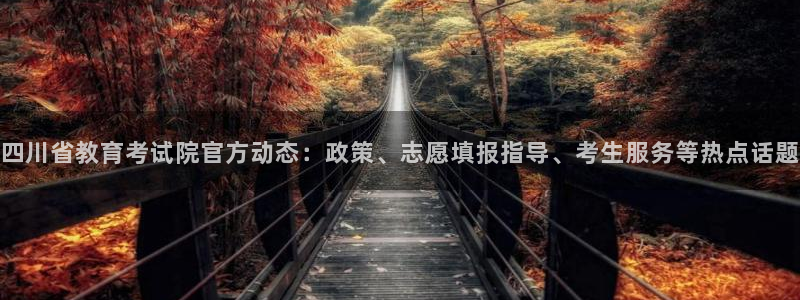 新宝5是谁