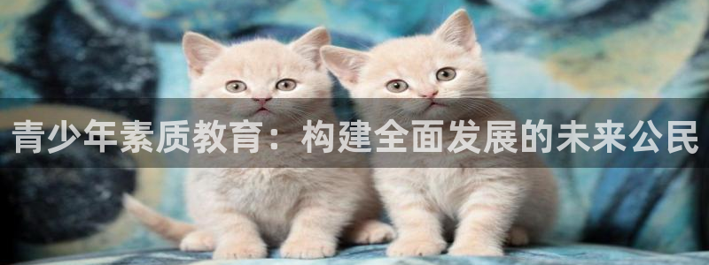 新宝5现在还能玩吗