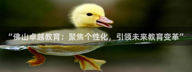 新宝5娱乐没