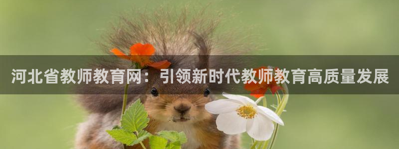 新宝5娱乐网址