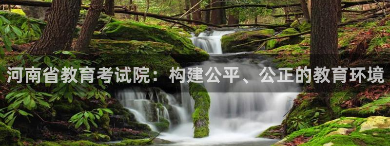 新宝5登陆地址