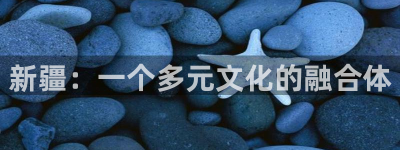 新宝5为啥开