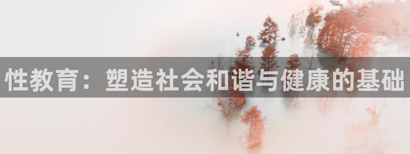 有人知道新宝5么