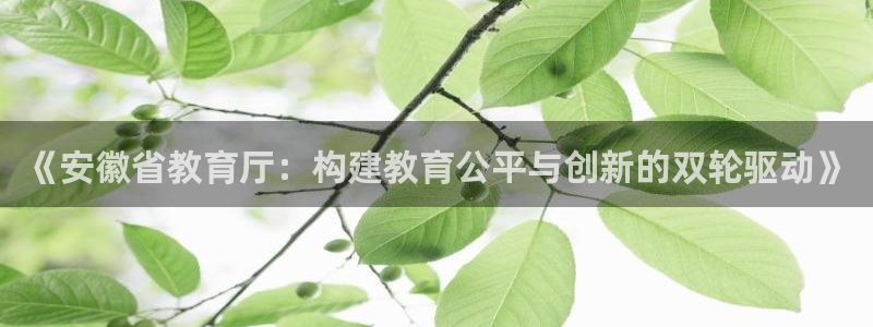 新宝5招商